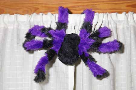 This guy will greet the ToTers with me either on my shoulder or my head. Perhaps he can adorn one of my stereo speakers.